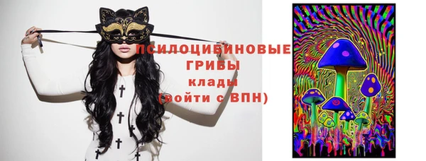 не бодяженный Ладушкин