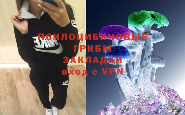 не бодяженный Ладушкин