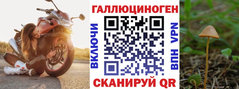 Галлюциногенные грибы Magic Shrooms  Купить  Качканар 